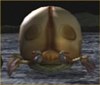 Moon Bug