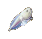 Snailfish-Dor