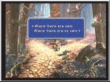 FF9