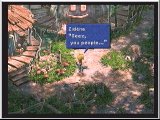 FF9