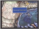 FF9