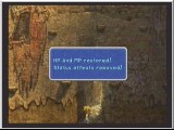 FF9