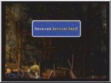FF9