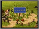FF9