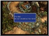 FF9