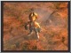 FF9