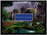 FF9