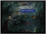 FF9