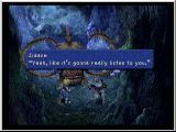 FF9