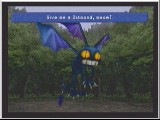 FF9