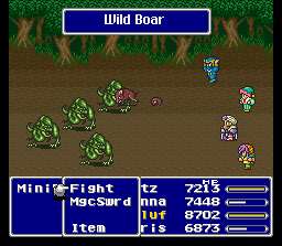 Wild Boar