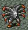 walk5ironclaw.jpg (1743 bytes)