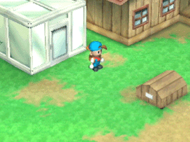 extension5.gif